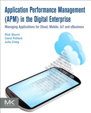 Kniha Application Performance Management (APM) in the Digital Enterprise Rick Sturm