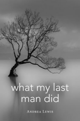 Book What My Last Man Did Andrea Lewis