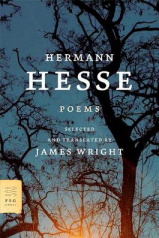 Könyv POEMS Hermann Hesse