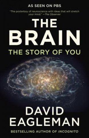 Kniha BRAIN THE David Eagleman