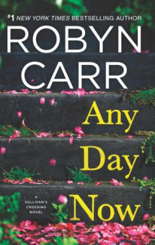 Carte Any Day Now Robyn Carr