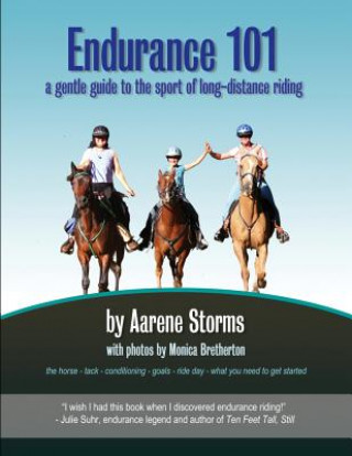 Könyv Endurance 101 Aarene Storms