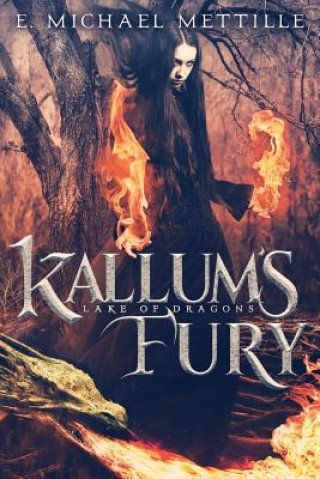 Knjiga Kallum's Fury E. Michael Mettille