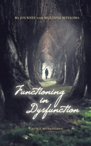 Kniha Functioning In Dysfunction Joyce Mudzagada