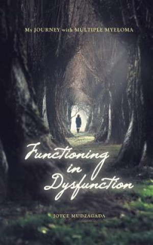 Book Functioning In Dysfunction Joyce Mudzagada