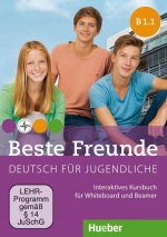 Digital Beste Freunde B1/1. Interaktives Kursbuch für Whiteboard und Beamer - DVD-ROM Manuela Georgiakaki