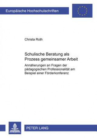 Kniha Schulische Beratung ALS Prozess Gemeinsamer Arbeit Christa Roth