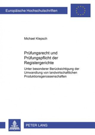 Kniha Pruefungsrecht Und Pruefungspflicht Der Registergerichte Michael Klepsch