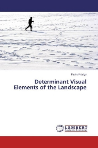 Könyv Determinant Visual Elements of the Landscape Pedro Fidalgo