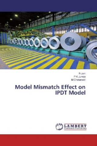 Książka Model Mismatch Effect on IPDT Model N Jain