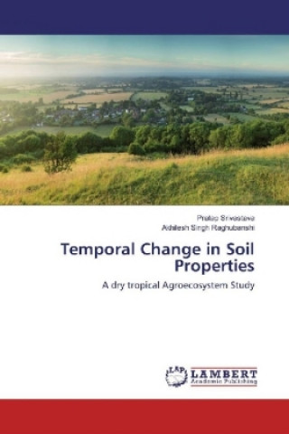 Kniha Temporal Change in Soil Properties Pratap Srivastava