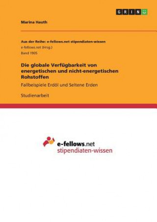 Kniha globale Verfugbarkeit von energetischen und nicht-energetischen Rohstoffen Marina Hauth