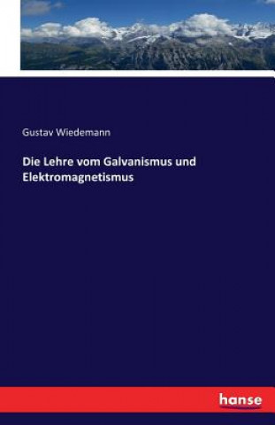 Könyv Lehre vom Galvanismus und Elektromagnetismus Gustav Heinrich Wiedemann