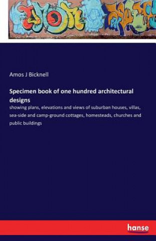 Carte Specimen book of one hundred architectural designs Amos J Bicknell