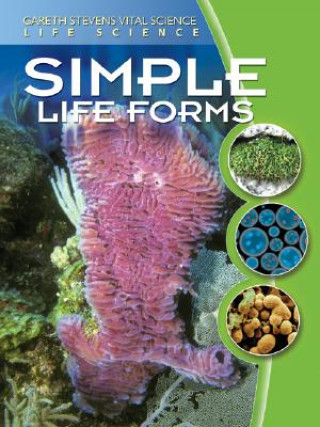 Knjiga Simple Life Forms Darlene R. Stille