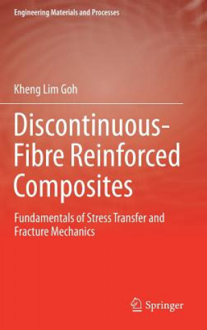 Kniha Discontinuous-Fibre Reinforced Composites Kheng Lim Goh