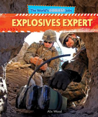 Knjiga Explosives Expert Alix Wood