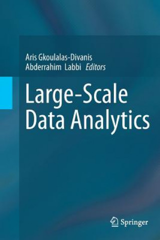 Knjiga Large-Scale Data Analytics Aris Gkoulalas-Divanis