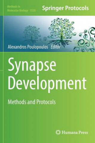 Książka Synapse Development Alexandros Poulopoulos