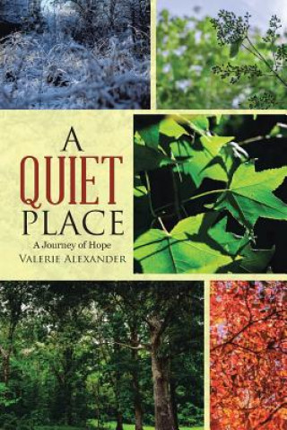 Libro Quiet Place Valerie Alexander