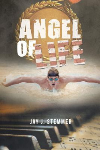 Libro Angel of Life Jay J. Stemmer