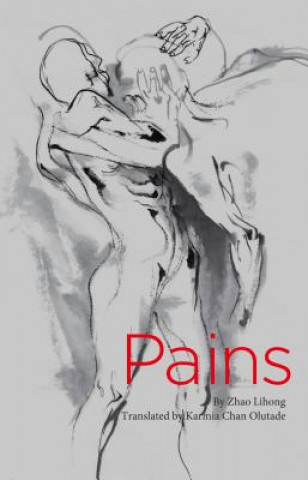 Libro Pains (Chinese Poems) Zhao Lihong