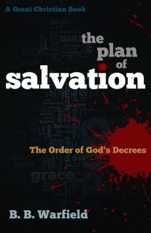 Kniha Plan of Salvation B B Warfield