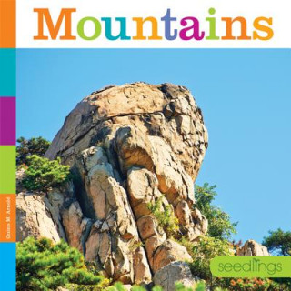 Book Mountains Kate Riggs