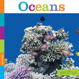 Kniha Oceans Quinn M. Arnold