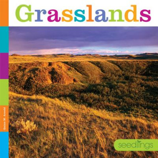 Kniha Grasslands Quinn M. Arnold