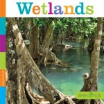 WETLANDS