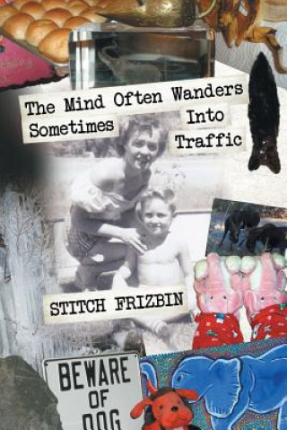 Kniha Mind Often Wanders Sometimes Into Traffic Stitch Frizbin