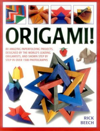Kniha Origami! Rick Beech