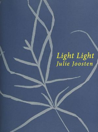 Buch Light Light Julie Joosten