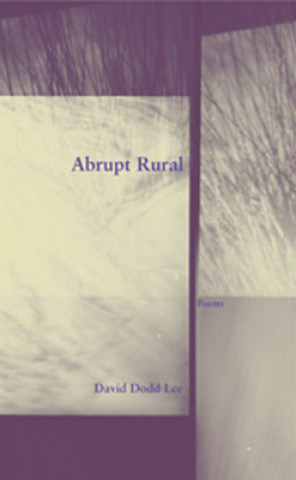 Libro Abrupt Rural David Dodd Lee