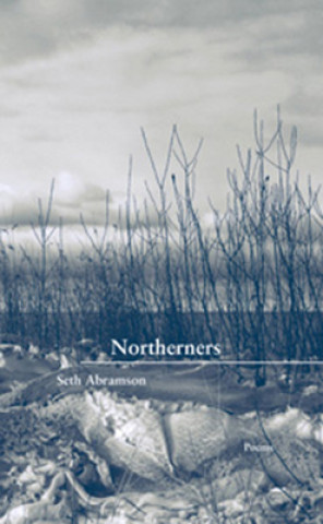 Книга Northerners James Armstrong