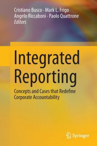 Könyv Integrated Reporting Cristiano Busco
