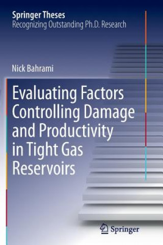 Könyv Evaluating Factors Controlling Damage and Productivity in Tight Gas Reservoirs Nick Bahrami