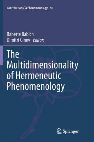 Kniha Multidimensionality of Hermeneutic Phenomenology Babette Babich