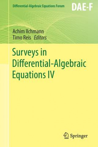 Книга Surveys in Differential-Algebraic Equations IV Achim Ilchmann