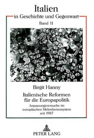 Kniha Italienische Reformen fuer die Europapolitik Birgit Hanny