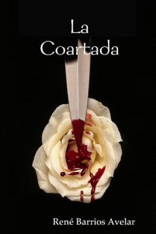 Book Coartada Rene Barrios Avelar