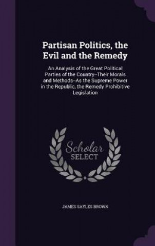 Libro Partisan Politics, the Evil and the Remedy James Sayles Brown