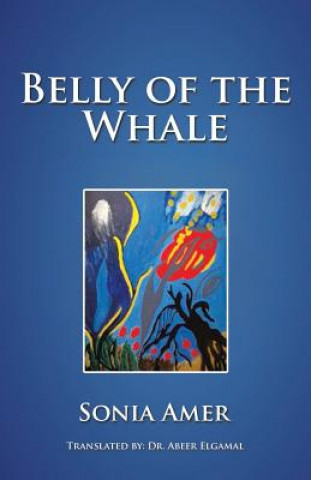 Buch Belly of the Whale Sonia Amer