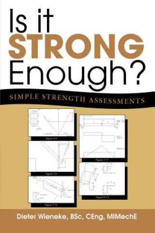 Knjiga Is it Strong Enough? Dieter Wieneke