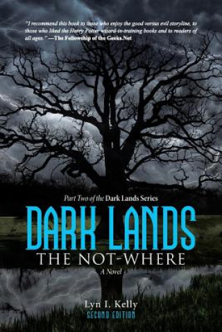 Buch Dark Lands Lyn I Kelly