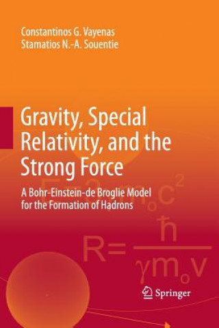 Kniha Gravity, Special Relativity, and the Strong Force Constantinos G Vayenas