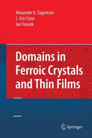 Könyv Domains in Ferroic Crystals and Thin Films Alexander K Tagantsev