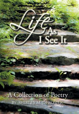 Kniha Life as I See It Shirley M Derosier