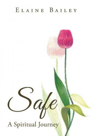 Knjiga Safe Elaine Bailey